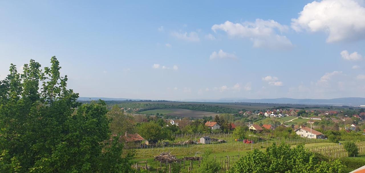 Buborek Apartman - Etyek Zewnętrze zdjęcie